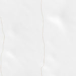 31111NW Page 79 Sells Topo Preview 2