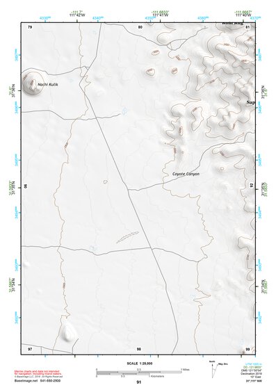 31111NW Page 91 Sells Topo Preview 1
