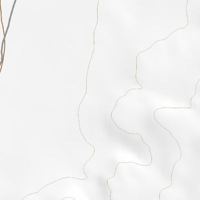 31112NW Page 12 Lukeville Topo Preview 2