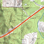 (32089a1) Page 015 Forest Preview 3