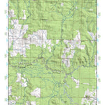 (32089a1) Page 016 Forest Preview 1