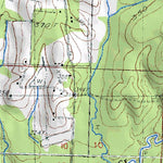 (32089a1) Page 016 Forest Preview 3