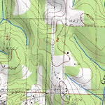 (32089a1) Page 018 Forest Preview 2