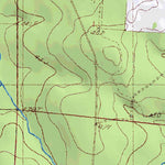 (32089a1) Page 021 Forest Preview 2