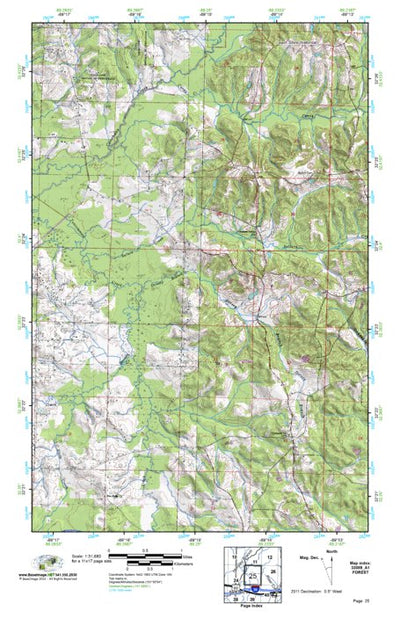 (32089a1) Page 025 Forest Preview 1