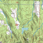(32089a1) Page 044 Forest Preview 2
