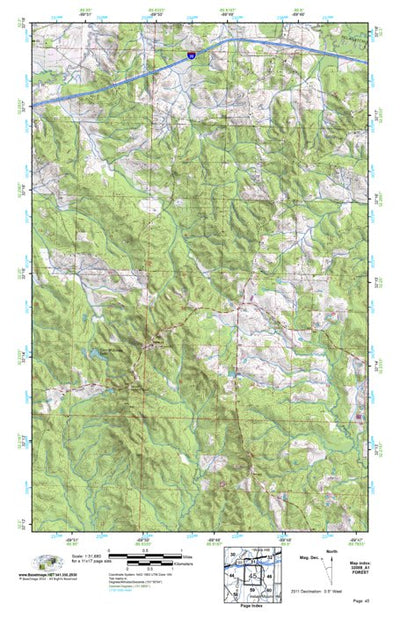 (32089a1) Page 045 Forest Preview 1