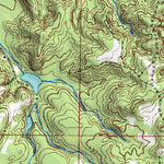 (32089a1) Page 055 Forest Preview 3