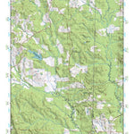 (32089a1) Page 060 Forest Preview 1