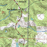 (32089a1) Page 060 Forest Preview 3
