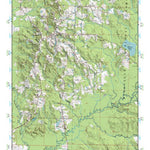 (32089a1) Page 061 Forest Preview 1
