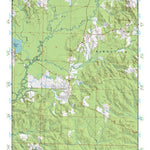 (32089a1) Page 062 Forest Preview 1