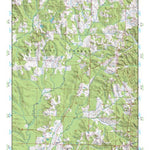 (32089a1) Page 063 Forest Preview 1