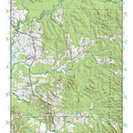 (32089a1) Page 075 Forest Preview 1