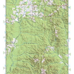 (32089a1) Page 077 Forest Preview 1