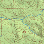 (32089a1) Page 077 Forest Preview 2