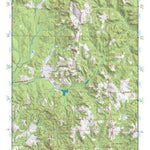 (32089a1) Page 098 Forest Preview 1