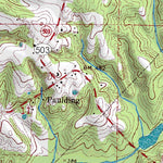 (32089a1) Page 098 Forest Preview 2
