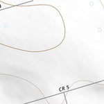 32102NE Page 23 Seminole Topo Preview 2