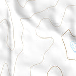 32102NE Page 51 Seminole Topo Preview 2