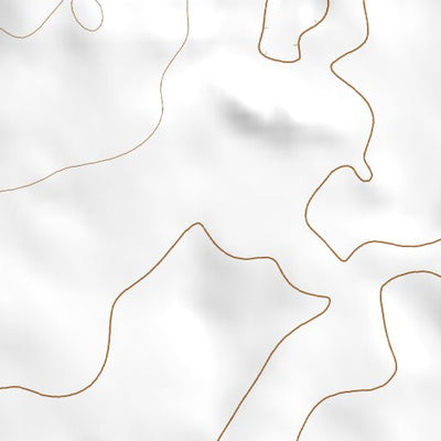 32102NE Page 62 Seminole Topo Preview 2