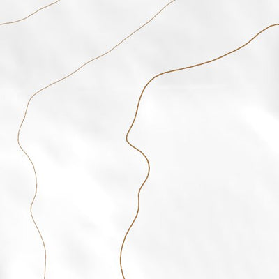 32102NW Page 59 Seminole Topo Preview 2