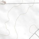 32102NW Page 68 Seminole Topo Preview 2