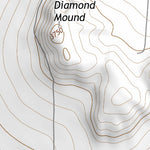 32104NE Page 19 Artesia Topo Preview 3