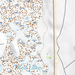 32104NE Page 32 Artesia Topo Preview 3