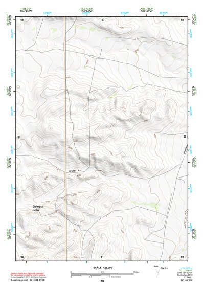 32104NW Page 79 Artesia Topo Preview 1