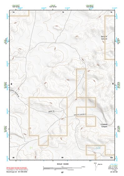 32104NW Page 87 Artesia Topo Preview 1