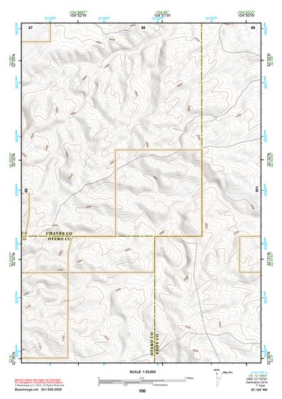 32104NW Page 100 Artesia Topo Preview 1