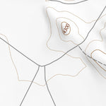 32105SE Page 99 Crow Flats Topo Preview 2