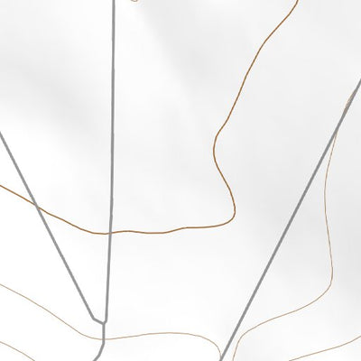 32105SW Page 33 Crow Flats Topo Preview 2