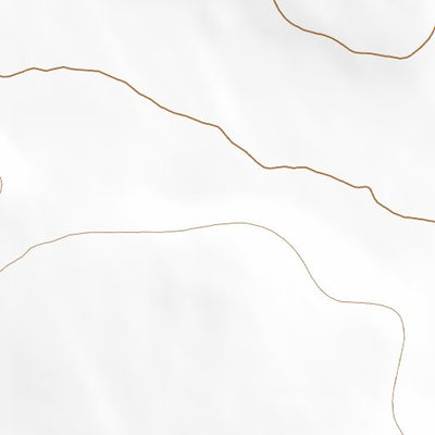 32106NW Page 89 White Sands Topo Preview 2