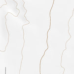32106SW Page 13 Las Cruces Topo Preview 2