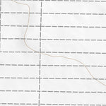 32107SE Page 97 Deming Topo Preview 3