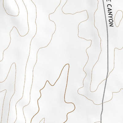 32108NW Page 50 Silver City Topo Preview 2