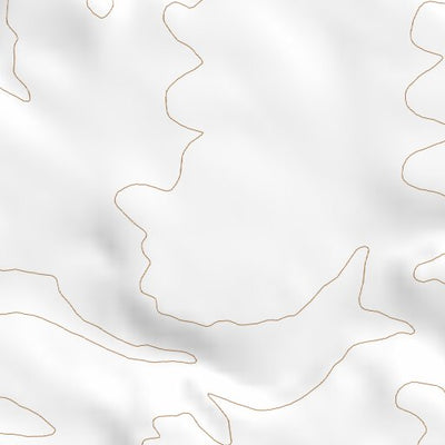32108NW Page 80 Silver City Topo Preview 2
