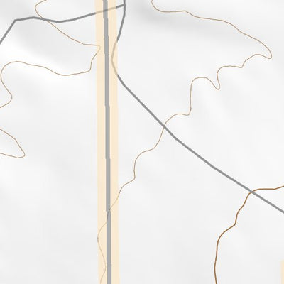 32108NW Page 81 Silver City Topo Preview 2