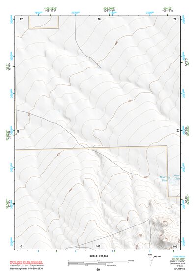 32108SE Page 90 Lordsburg Topo Preview 1