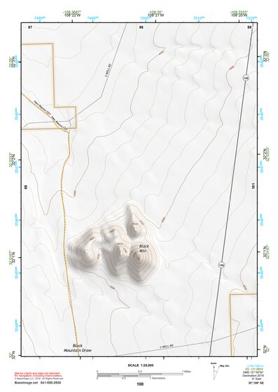 32108SE Page 100 Lordsburg Topo Preview 1