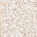 32108SW Page 26 Lordsburg Topo Preview 3