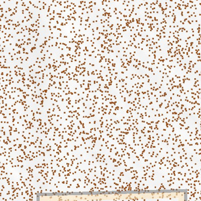 32109SW Page 78 Willcox Topo Preview 3