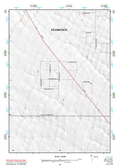 32111NE Page 4 Casa Grande Topo Preview 1