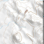 32111NE Page 33 Casa Grande Topo Preview 3