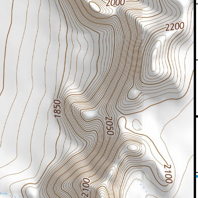 32111NE Page 39 Casa Grande Topo Preview 3