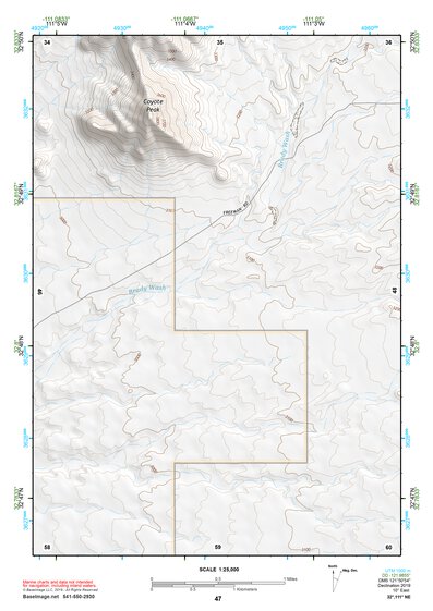 32111NE Page 47 Casa Grande Topo Preview 1