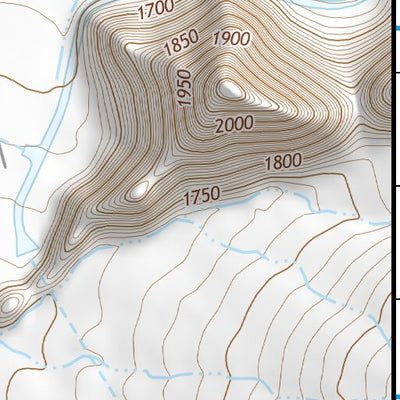 32111NE Page 50 Casa Grande Topo Preview 3