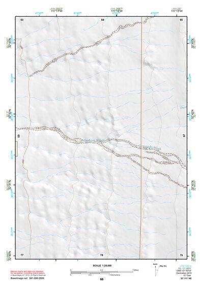 32111NE Page 66 Casa Grande Topo Preview 1